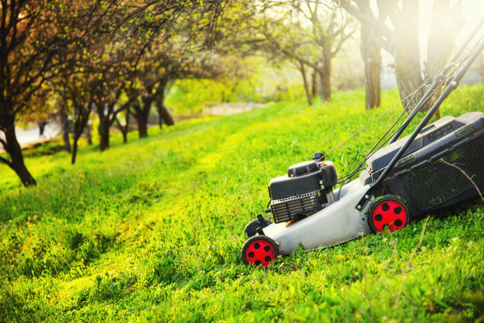 un uomo mows l'erba nel giardino con un tosaerba elettrico Foto